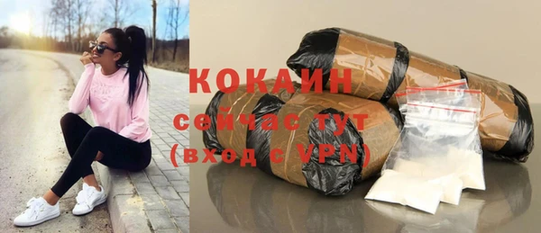 прущие грибы Козельск