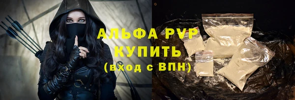 прущие грибы Козельск