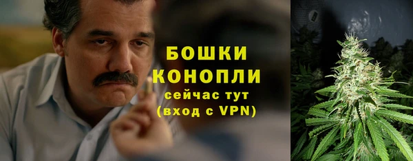 ECSTASY Кодинск