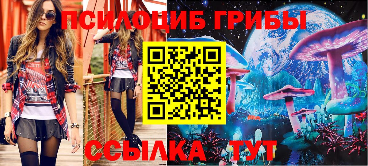 Псилоцибиновые грибы Cubensis Михайловка
