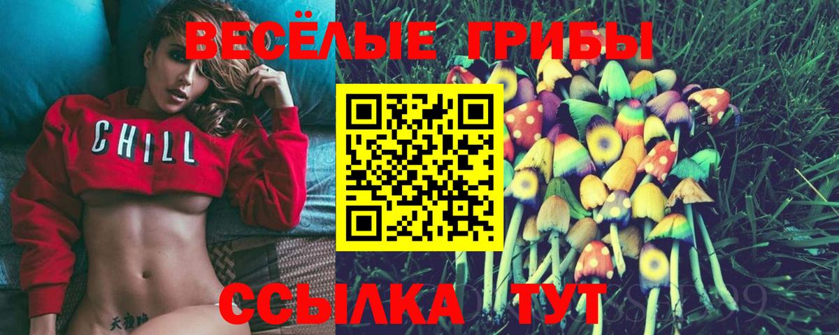Михайловка  Псилоцибиновые грибы Psilocybe  Псилоцибиновые грибы прущие грибы  Вход с VPN 