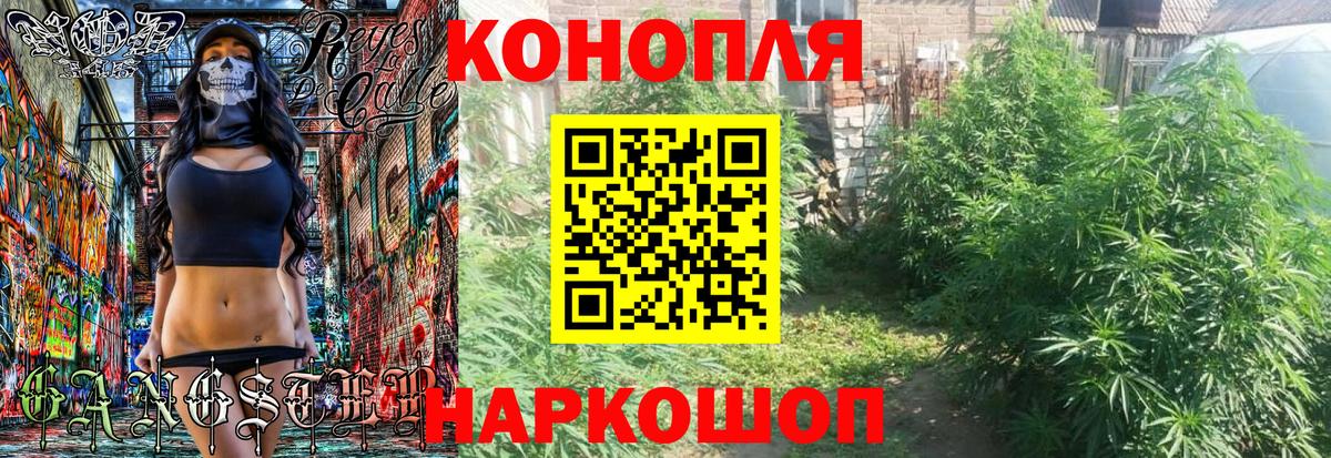 Конопля планчик Михайловка