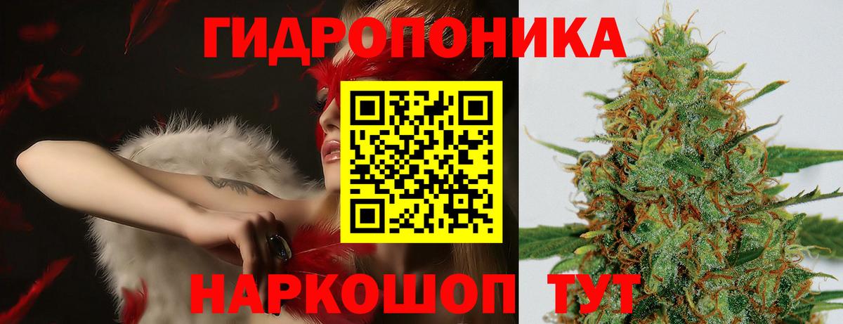 Канабис гибрид  Конопля White Widow  Вход с VPN  Бошки марихуана LSD WEED  Михайловка 